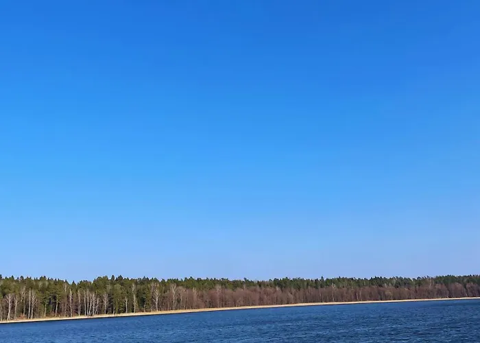 Lesny Zakatek - Nad Samym Jeziorem